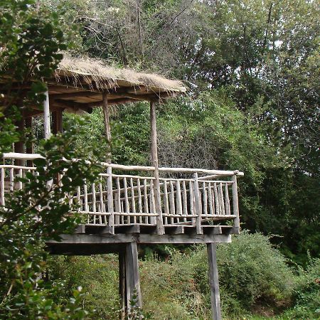 Puelo Siempreverde Villa Puelo River Екстериор снимка