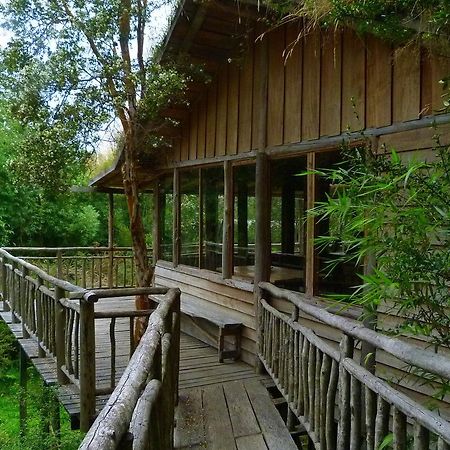 Puelo Siempreverde Villa Puelo River Екстериор снимка