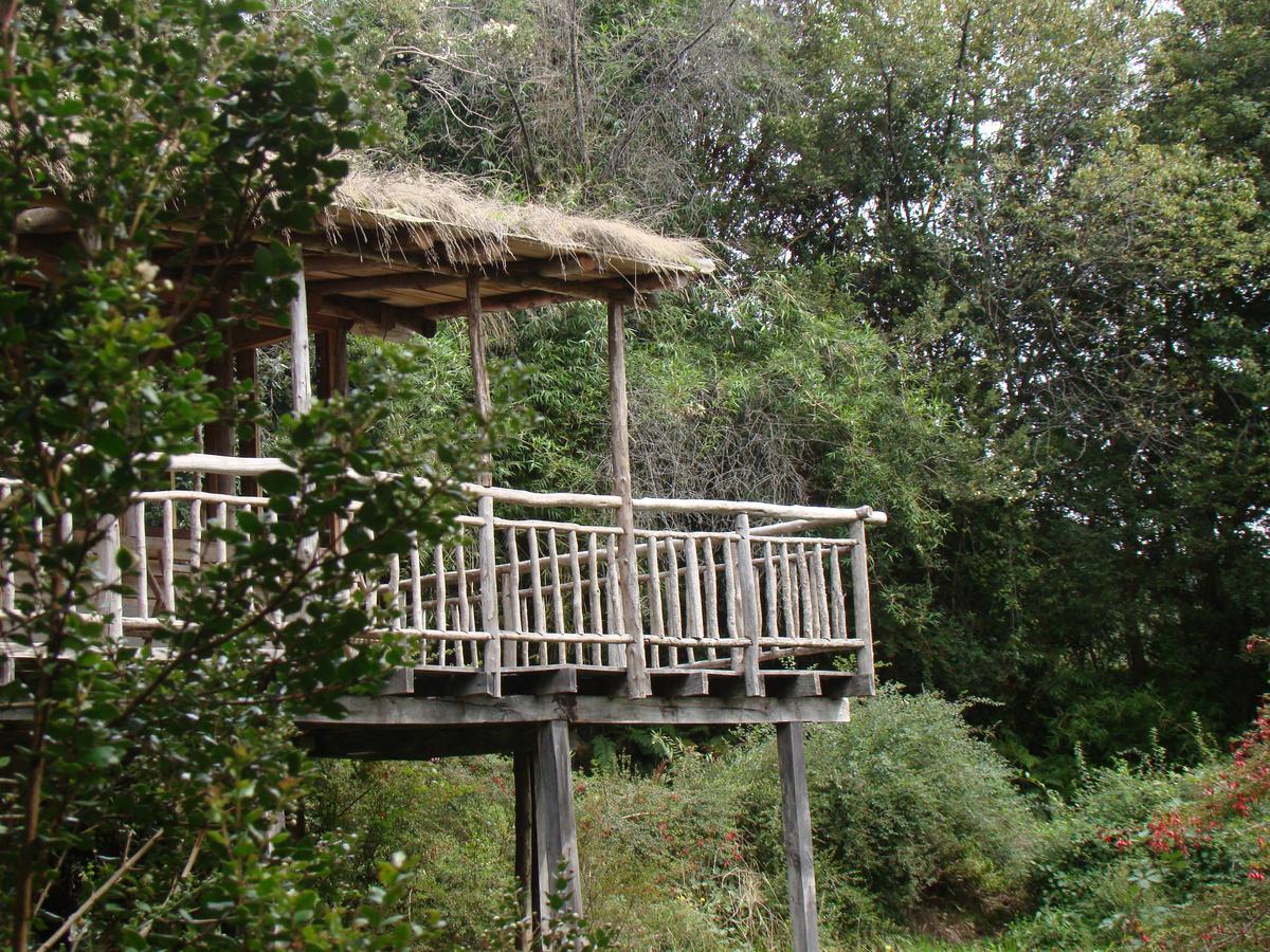 Puelo Siempreverde Villa Puelo River Екстериор снимка